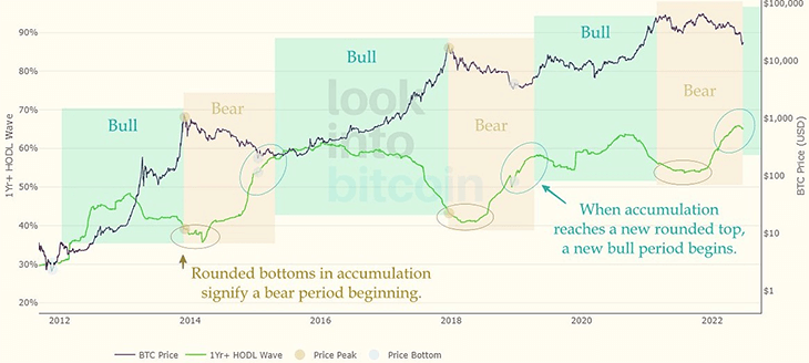 قیمت بیت کوین در مقابل موج 1 ساله HODL. منبع: توییتر